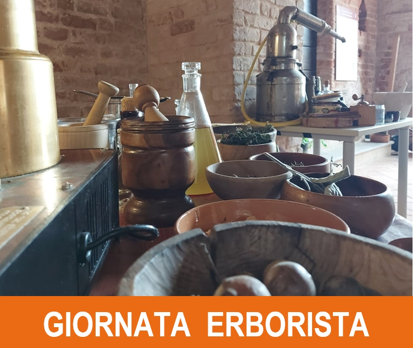 banner giornata erborista