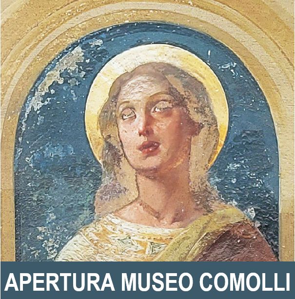 banner museo comolli